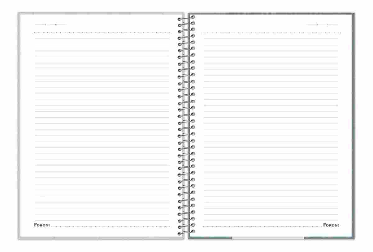 CADERNO 1X1 FURFRIENDS C.D.